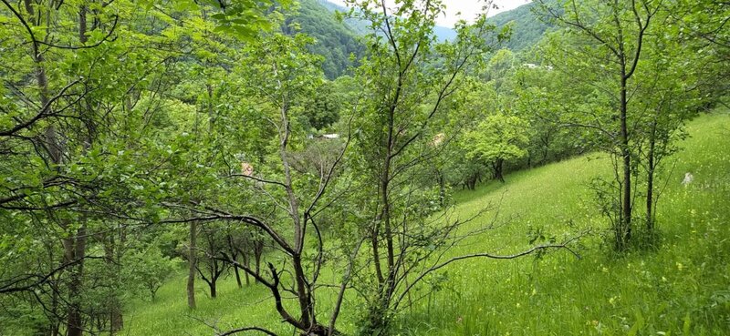 Teren de vanzare in Comarnic - Zona Posada