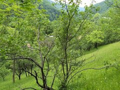 Teren de vanzare in Comarnic - Zona Posada