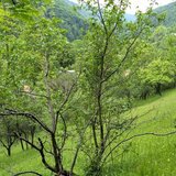 Teren de vanzare in Comarnic - Zona Posada